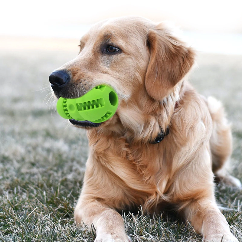 Pet Toys Teeth Cleaning Molars Puzzle Bite Resistant Dog Training Supplies