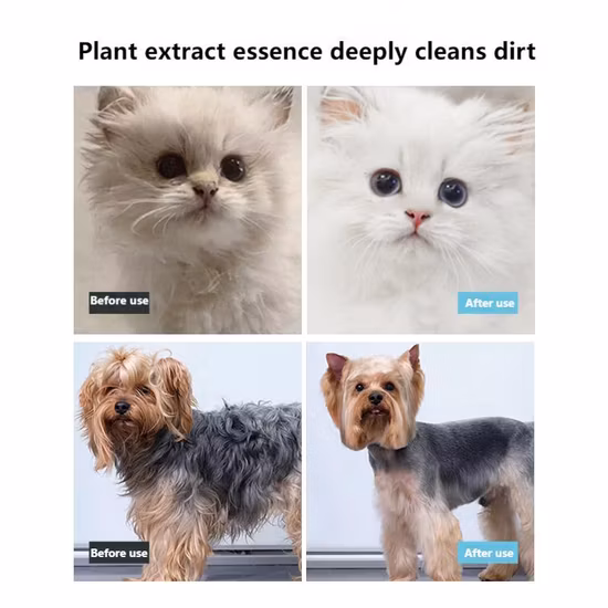 ペットの足のシャンプー