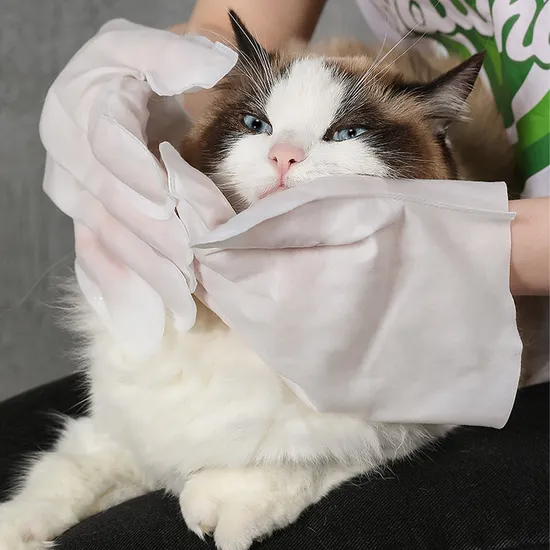 OEM マウスボディクリーニング廃棄ソフトペットグローブグルーミングウェットワイプ犬用